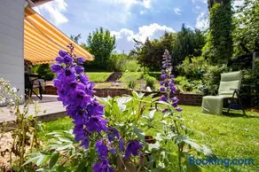 Paulas Ferienhaus - Image 3