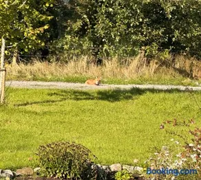 Animal Farm and Forest - Image 3