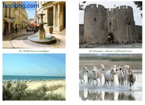 LA PICHIOLINE - Image 2