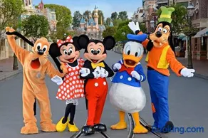 Chambre d'Hôtes Proche de Disneyland et Pas Loin de Paris - Image 2