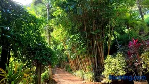 Sanangana Hotel & Banquet - Image 5