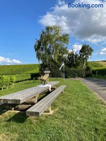 Gästehaus Rebstock im Weingut Schrauth-Becker - Image 2