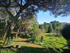 Pine Lodge - direct train to Porto - Image 4