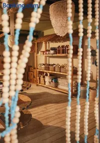 Alaya Poleg - Image 4