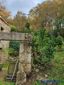 Entrerobles - Casiña Cereixa - Image 2