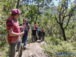 Enchanting woods Yercaud - Image 4