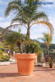 Villa El Nido - Image 4
