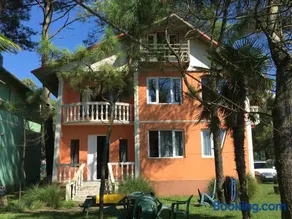 Villa Shekvetili - Image 1