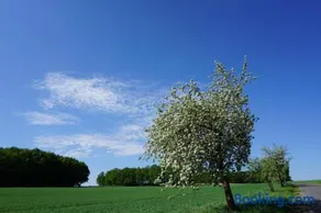 Herberge am Mönchsbruch - Image 3