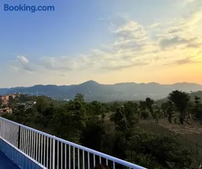 solan greens - Image 4