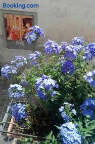 Palazzetto Bentivoglio - Image 2