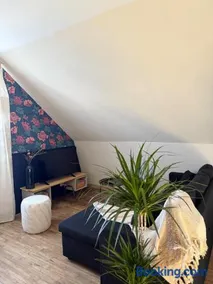 Appartement lumineux 4 personnes, Puy Mary - Image 2