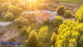 THE VINEYARDS - Image 1