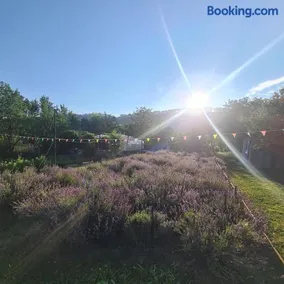 Lavander Garden Camping - Image 2