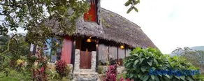 Finca de la Vaca - Family House - Image 2