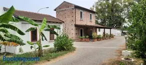 Azienda Agricola Neocastrum - Image 2