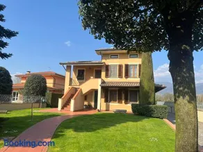 Il Timo - Image 1