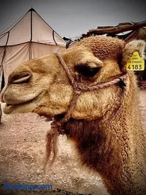 Les Bedouins Agafay - Image 1