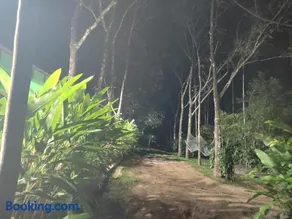 Green wayanad homestay - Image 5