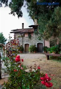 Carretiello - Image 1