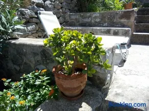 Amphitrite's House - Image 4
