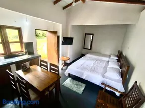 The Green Lush - Image 3