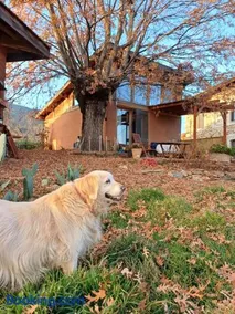 Marmaric Guesthouse - Image 1