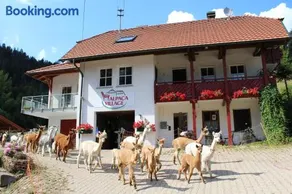 Alpaca-Village - Image 1