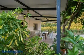 Huerta del Sol - Image 3