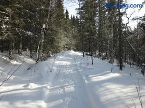 Résidence touristique Lodge des Bois - Image 2