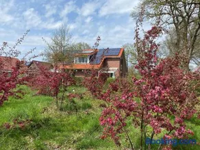 Friedeburga - Image 1