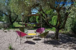 Zuccherini - Image 3