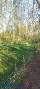 Vakantieverblijf de Barre Hichte, Grindweg 4 Nijeberkoop - Image 3