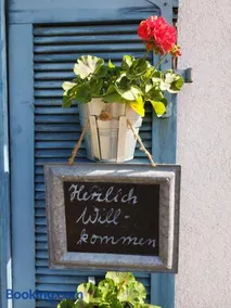Dischhof - Image 2