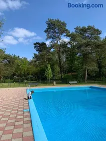 Natuurhuisje De Boshut - Image 2