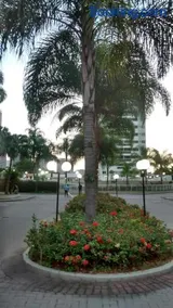 Barra Rio Centro - Image 4