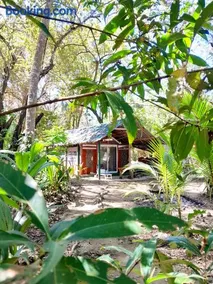 Fully Furnished FAMILY JUNGLE TENT, Latino Glamping Paquera - Image 5
