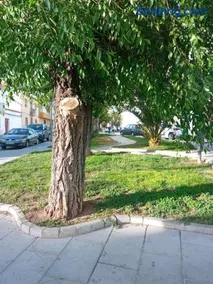 Apartamento San Miguel - Image 4