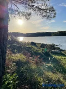Peninsula de Port Anna - Image 2