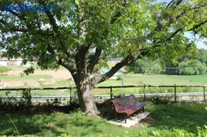 Apartamento Naturaleza - Image 2