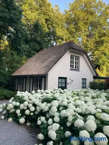 Schilde Cottage - Image 1