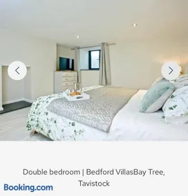 Bay Tree - Image 5