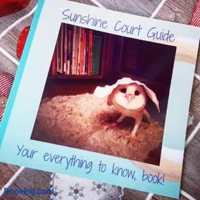 Sunshine Court - Image 1