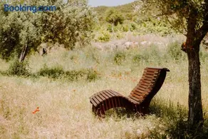 Finca Seguró - Image 2