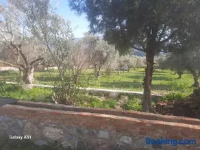 Ali dede kamp karavan bungalow - Image 2