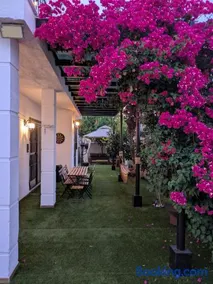 Vincents Paradise - Image 1