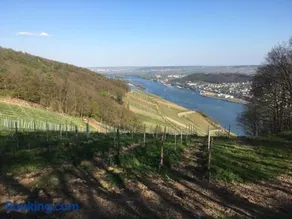 Apartment am Rheinsteig ,privater Vermieter - Image 4