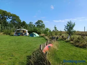 Retro caravan het Uiltje nabij het Sneekermeer - Image 2