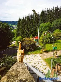 Klein Waldseele - Image 3
