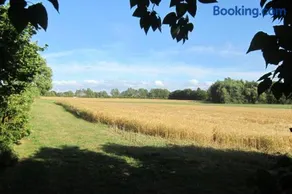 Staevnegaarden - Image 3